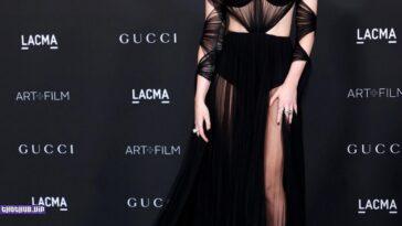 Elle Fanning Hot In A See Through Dress 27 Photos