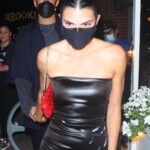 Kendall Jenner Sexy In Leather Dress 21 Photos