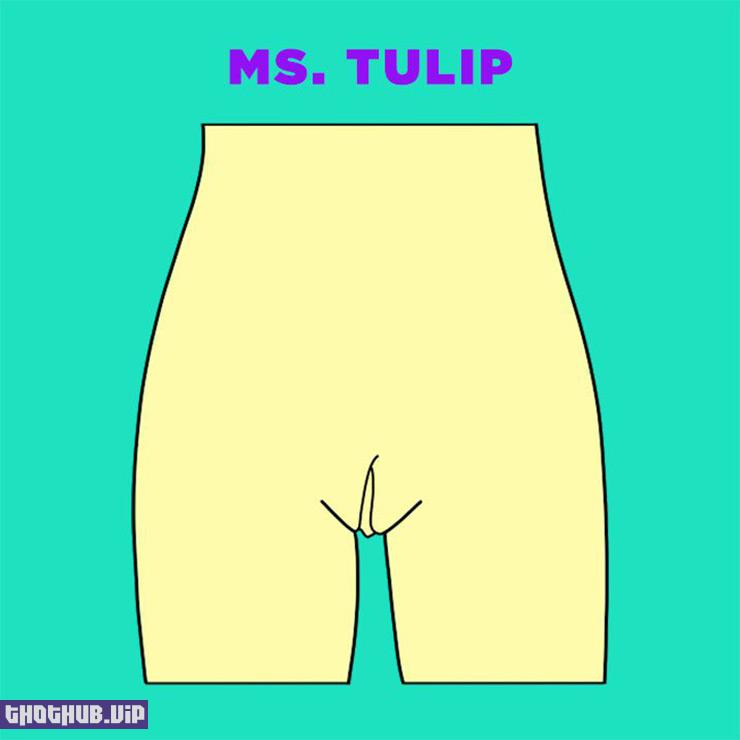 Vagina Tulipa
