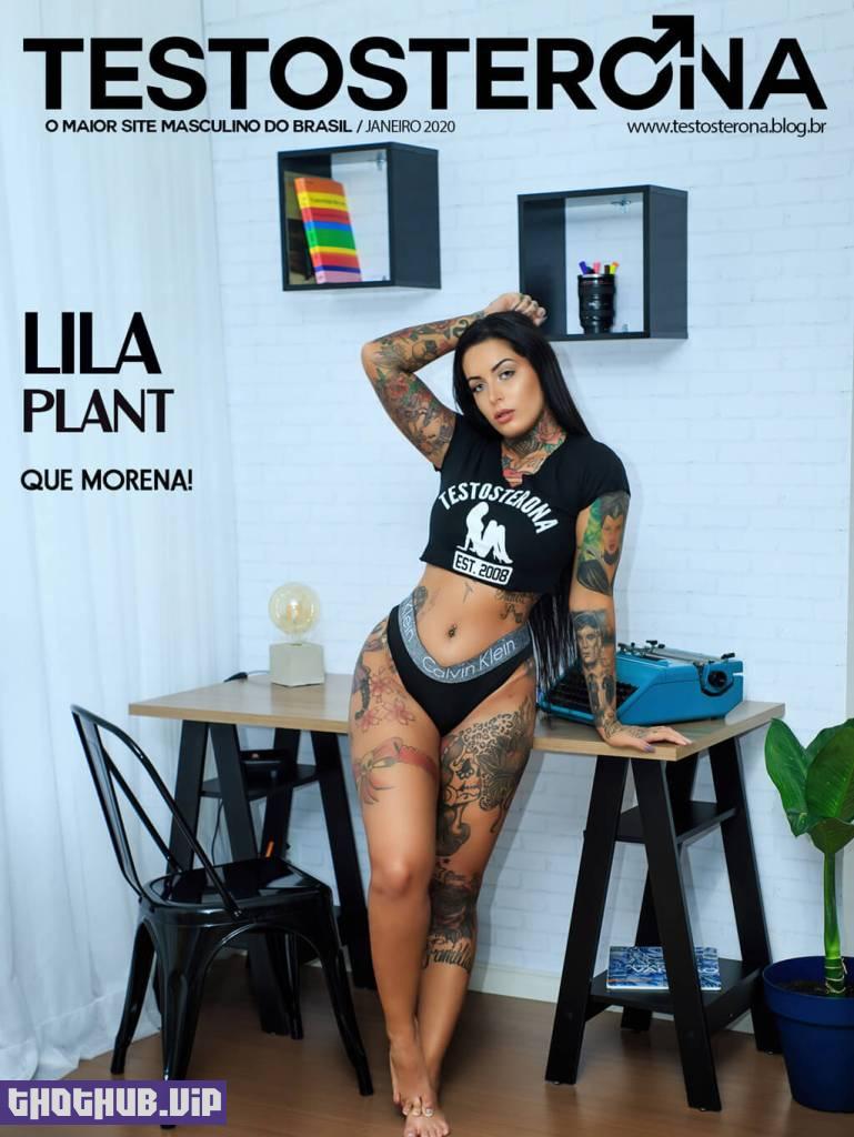 Lila Plant