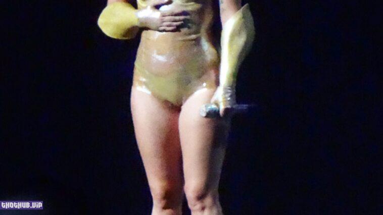 Lady Gaga Sexy On Stage 24 Photos