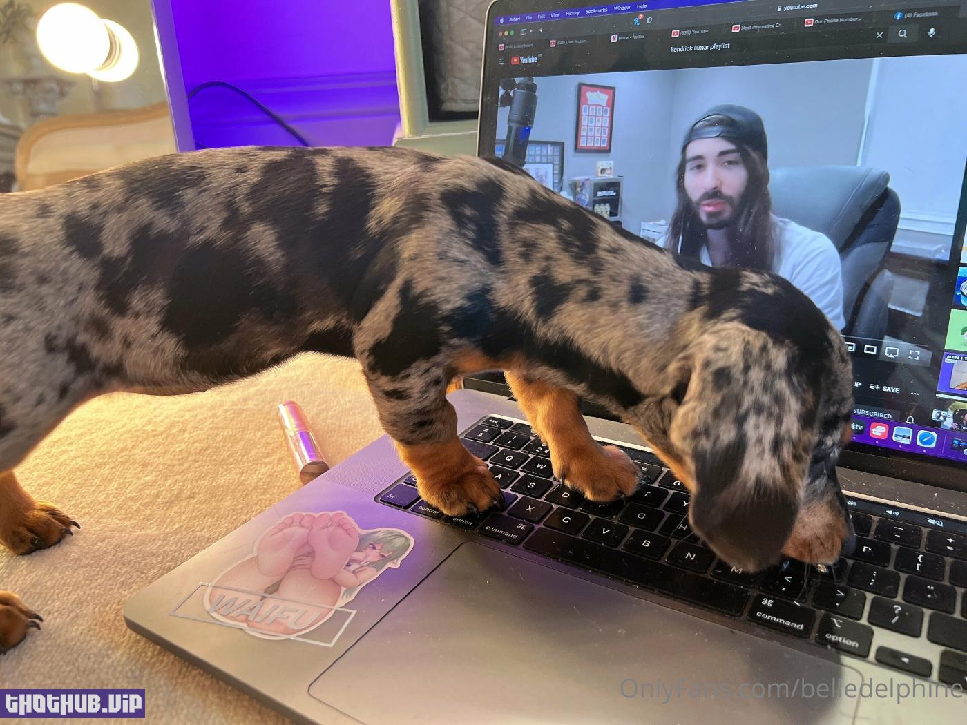 1662842145 922 Belle Delphine And Puppy Onlyfans Set Leaked