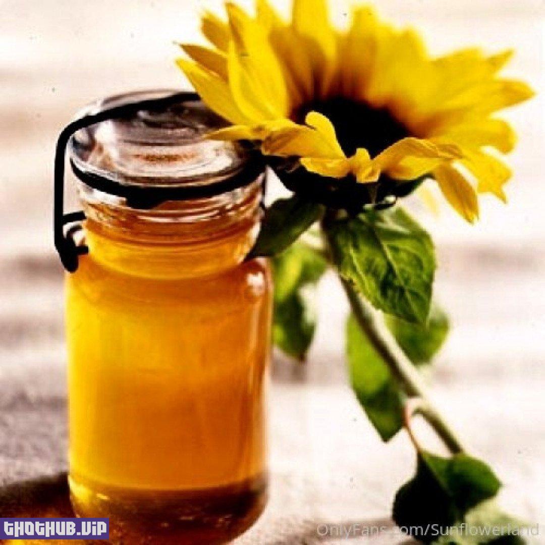 Human Sunflower (sunflowerland) Onlyfans Leaks (144 images)