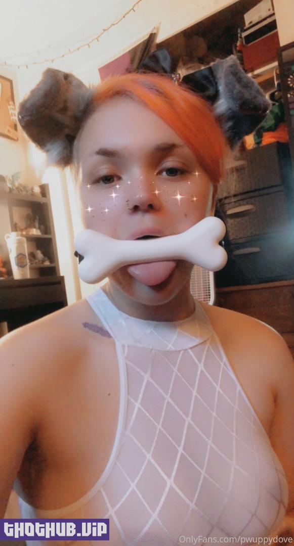 pwuppydove (pwuppydove) Onlyfans Leaks (144 images)