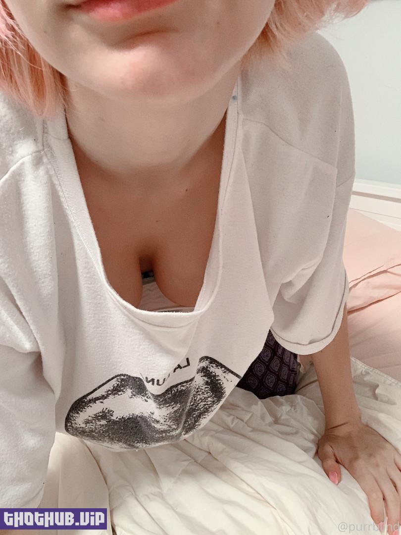 Purr (purrhime) Onlyfans Leaks (144 images)