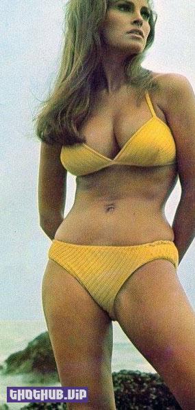 1664405324 399 Raquel Welch Nude and Topless Photos Collection