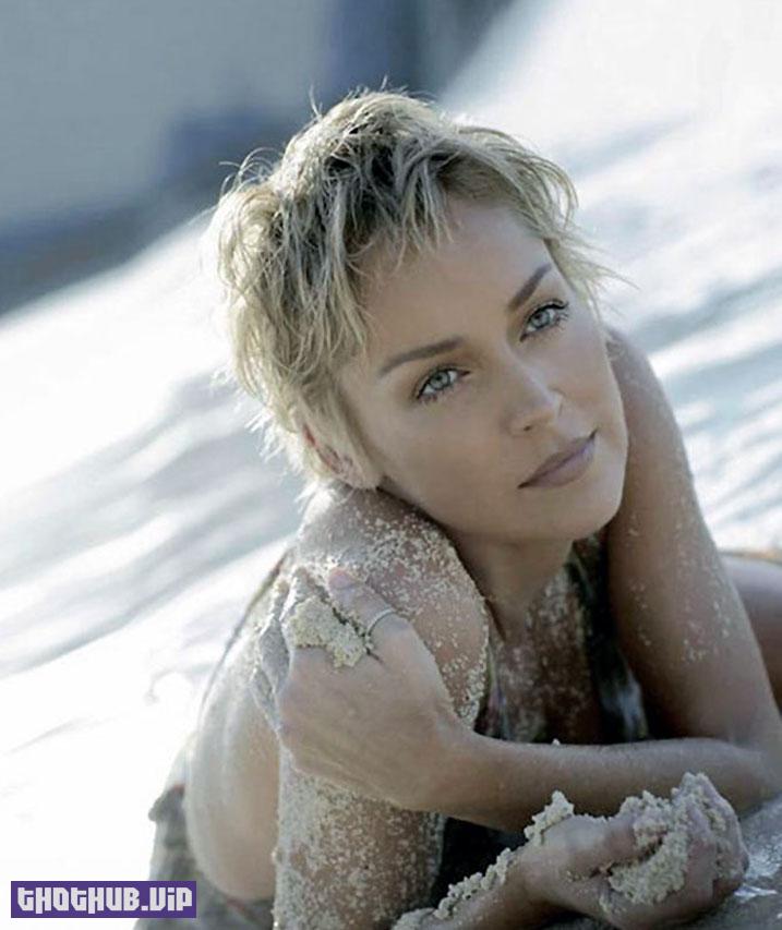 1664810012 746 Sharon Stone Naked and Sexy Photo Collection