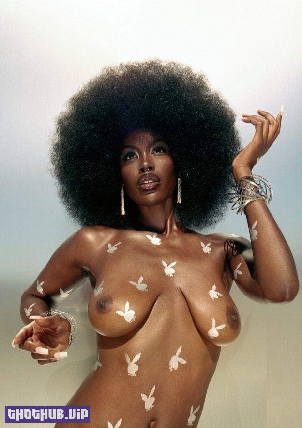 Tanerelle Nude In PlayBoy 2020